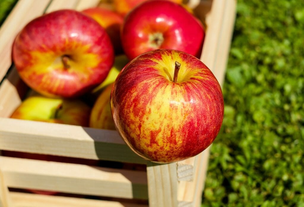 apple, red, fruits