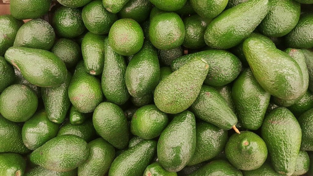 avocado, fruit, vegetarian
