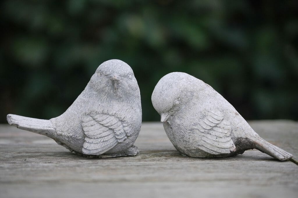 birds, image, garden