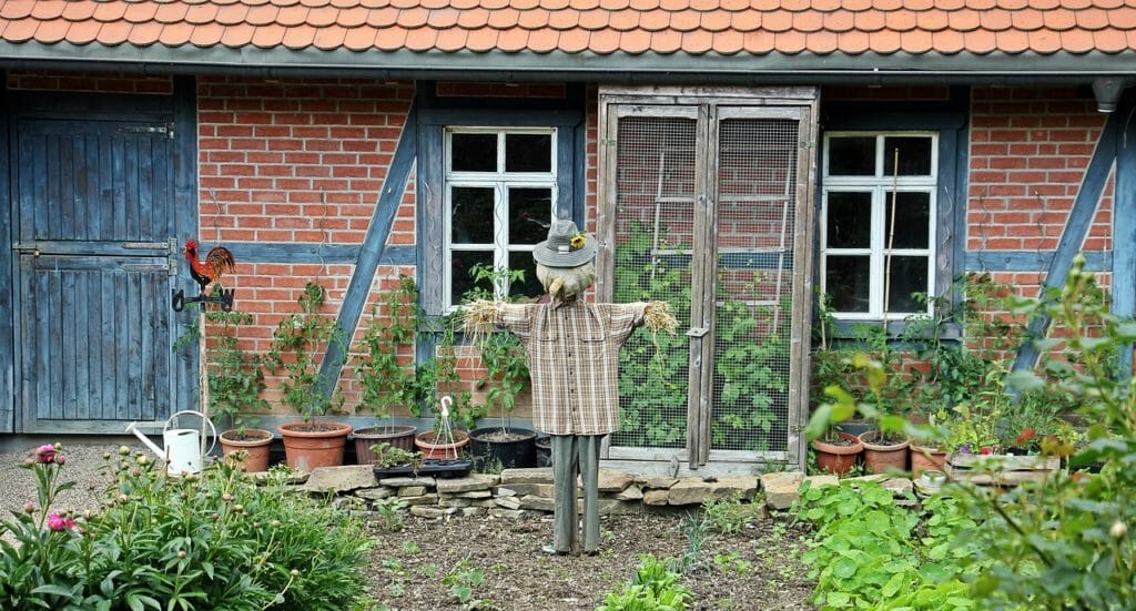 farm, scarecrow, goal
