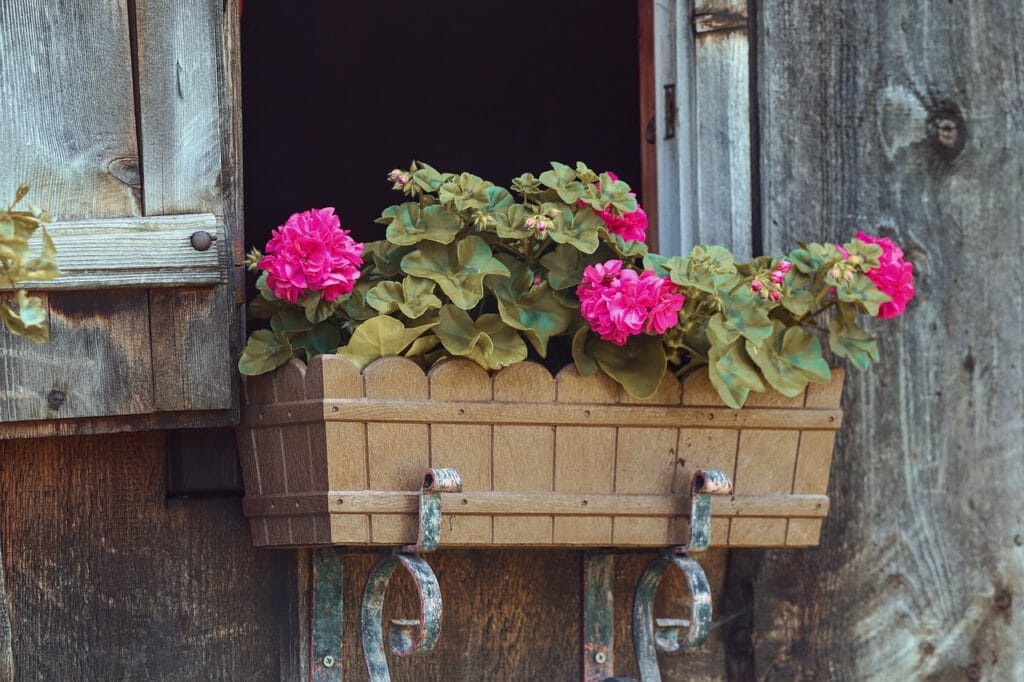 flower box, floral decorations, window