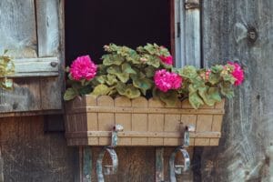 flower box, floral decorations, window