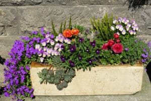 flowers, planters, flower box