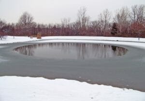 frozen, pond, winter