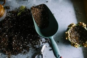 gardening, pot, soil