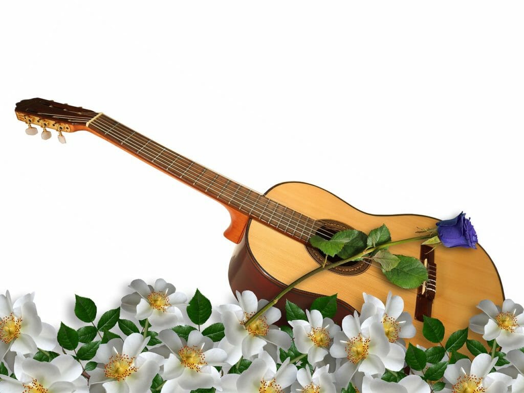 guitar, instrument, flowers