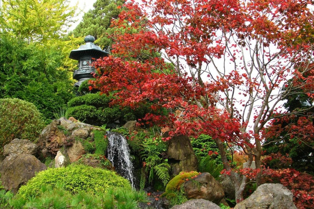 japan, japanese, garden