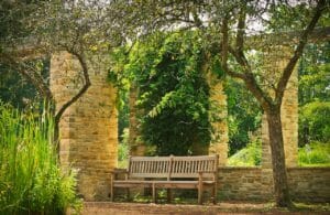 park, bank, park bench