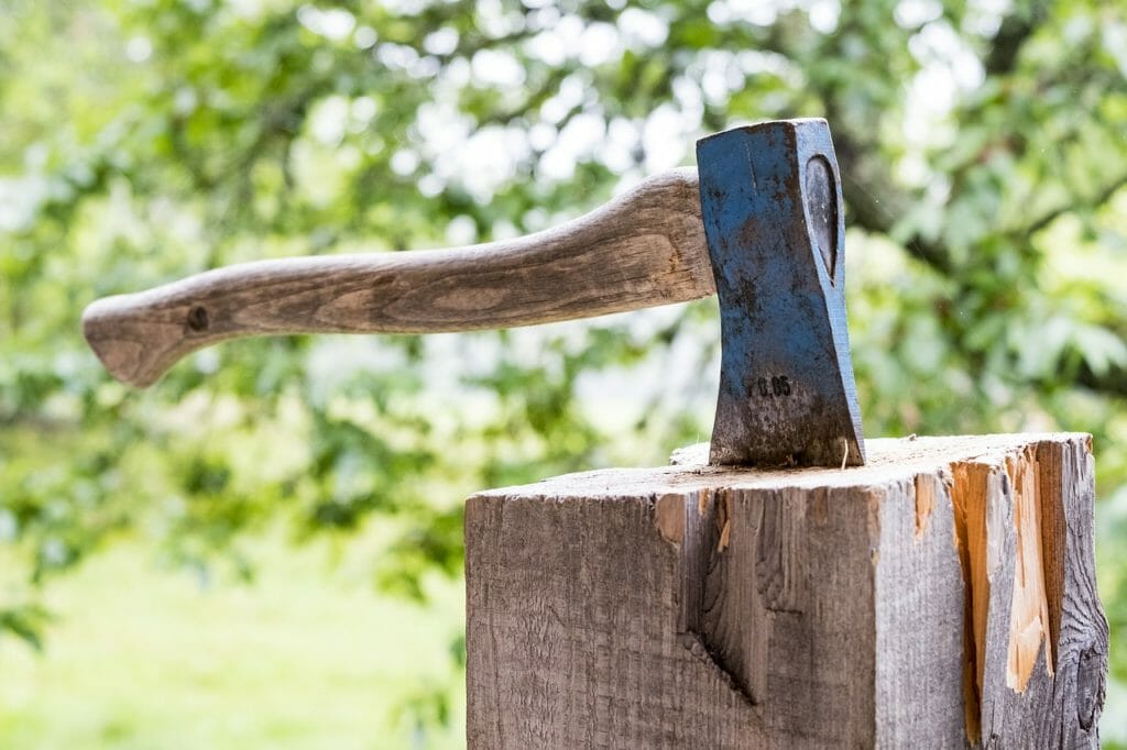 wood, nature, tree