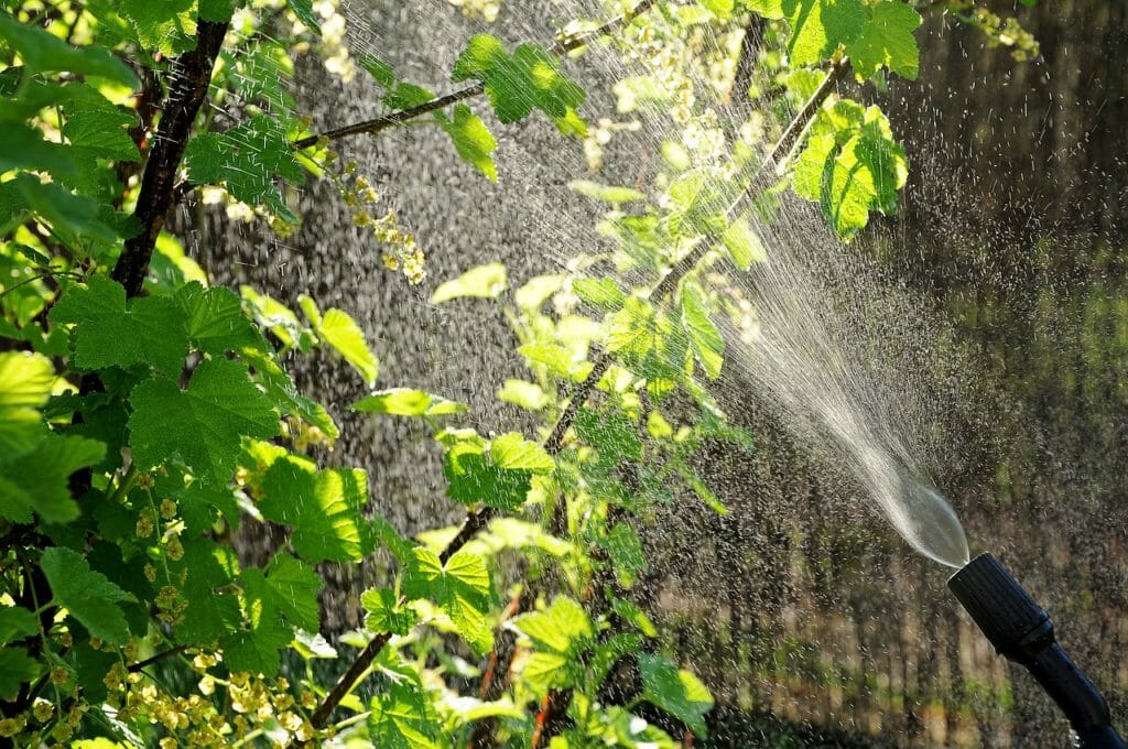 aphids, garden, drops