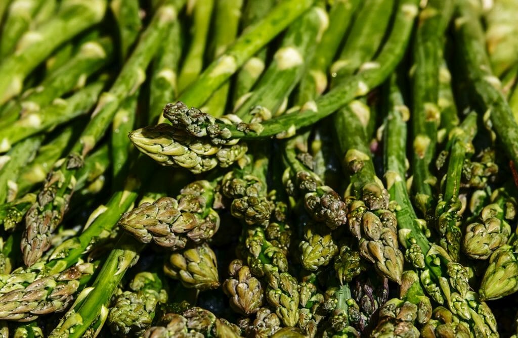 asparagus, green asparagus, green