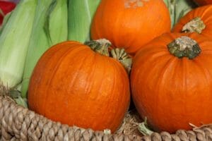 autumn, basket, colorful