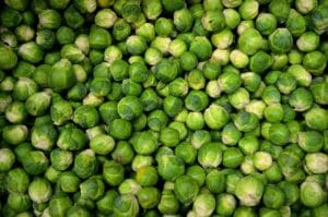 brussels sprouts, vegetables, sprouts