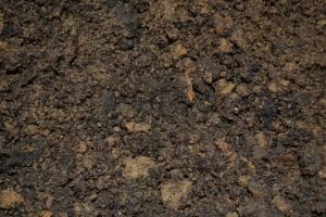 dirt, soil, potting
