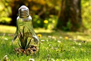environmental protection, nature, light bulb