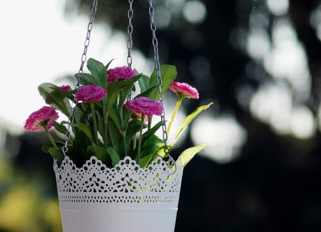 floral, flowers, hanging basket