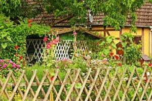 garden, cottage garden, fence