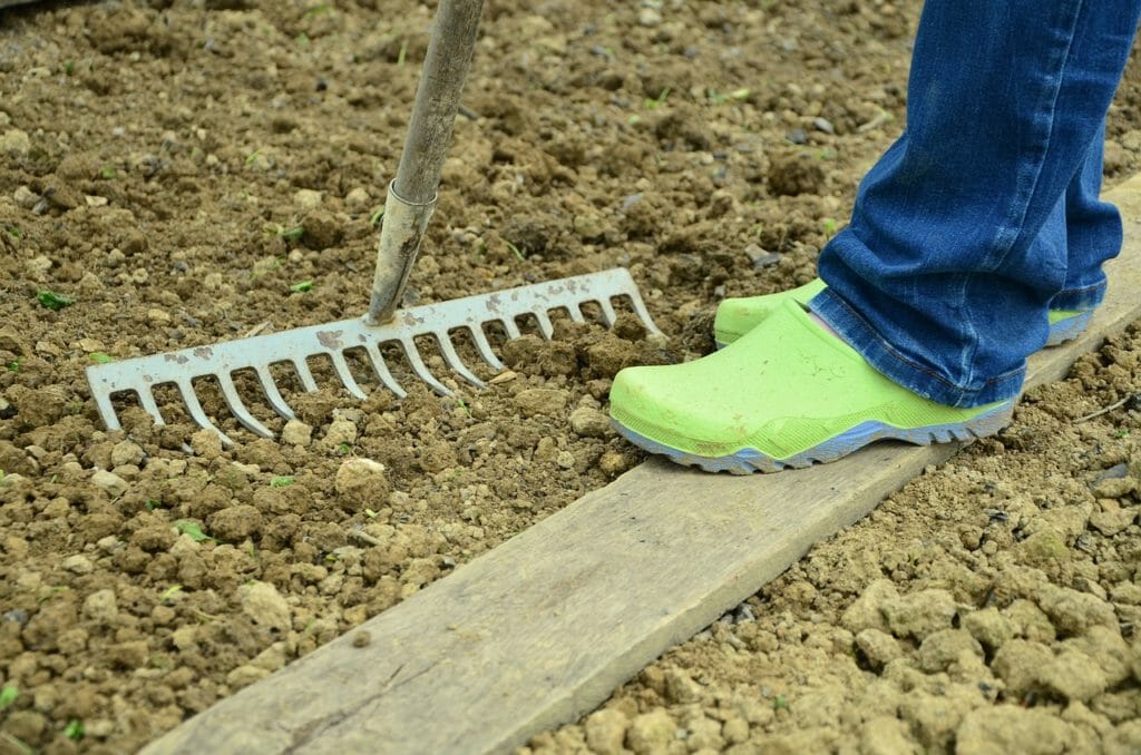 garden, gardening, bed