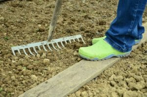 garden, gardening, bed