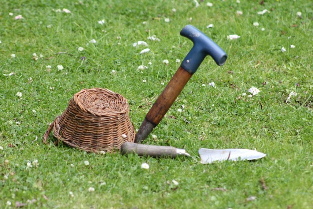 garden, lawn, tools
