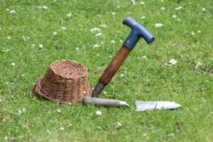 garden, lawn, tools