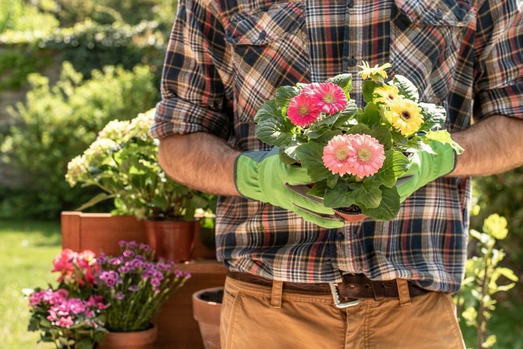 gardener, gardening, flower
