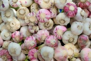 garlic, fresh, herb