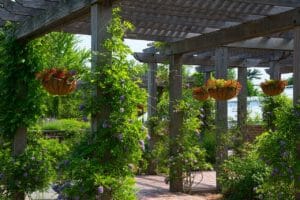 gazebo, plants, garden