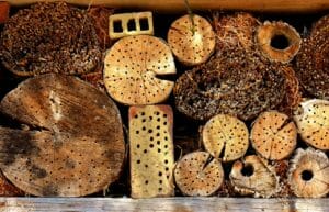 insect hotel, insect house, insect asylum