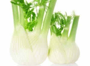 Knollenfenchel pflanzen und pflegen