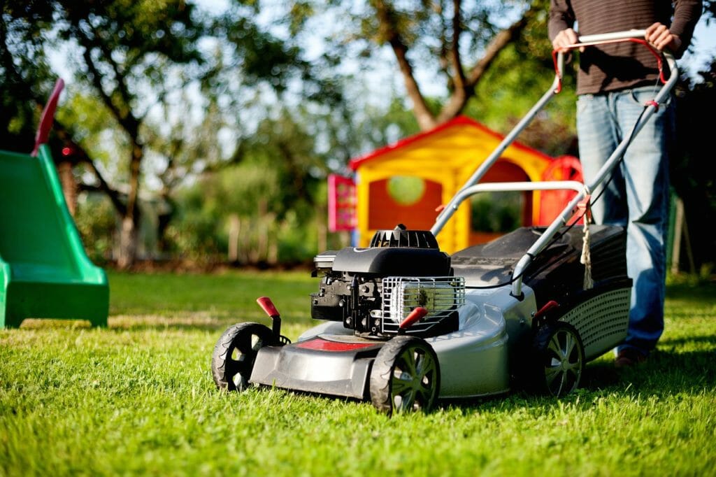 lawn mower, lawn mowing, rush
