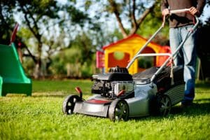 lawn mower, lawn mowing, rush