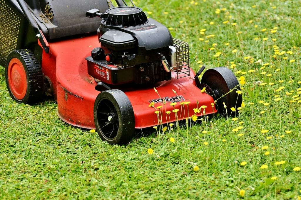 lawn mower, mow, lawn mowing