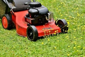 lawn mower, mow, lawn mowing