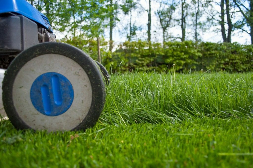 lawnmower, gardening, lawn-mower