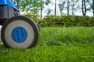 lawnmower, gardening, lawn-mower