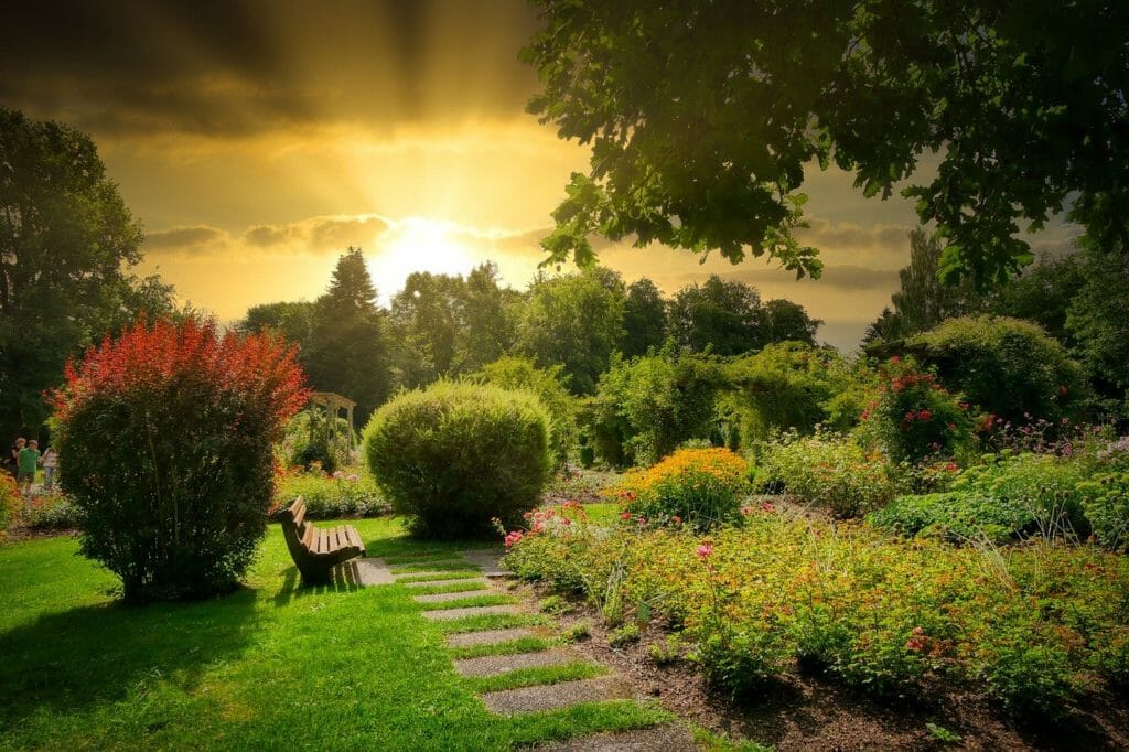 park, garden, bench
