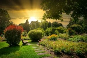 park, garden, bench