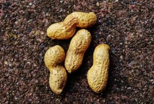 peanuts, shell, food