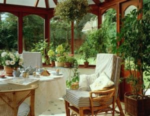Pflanzen für den Wintergarten - Welche Möglichkeiten es gibt