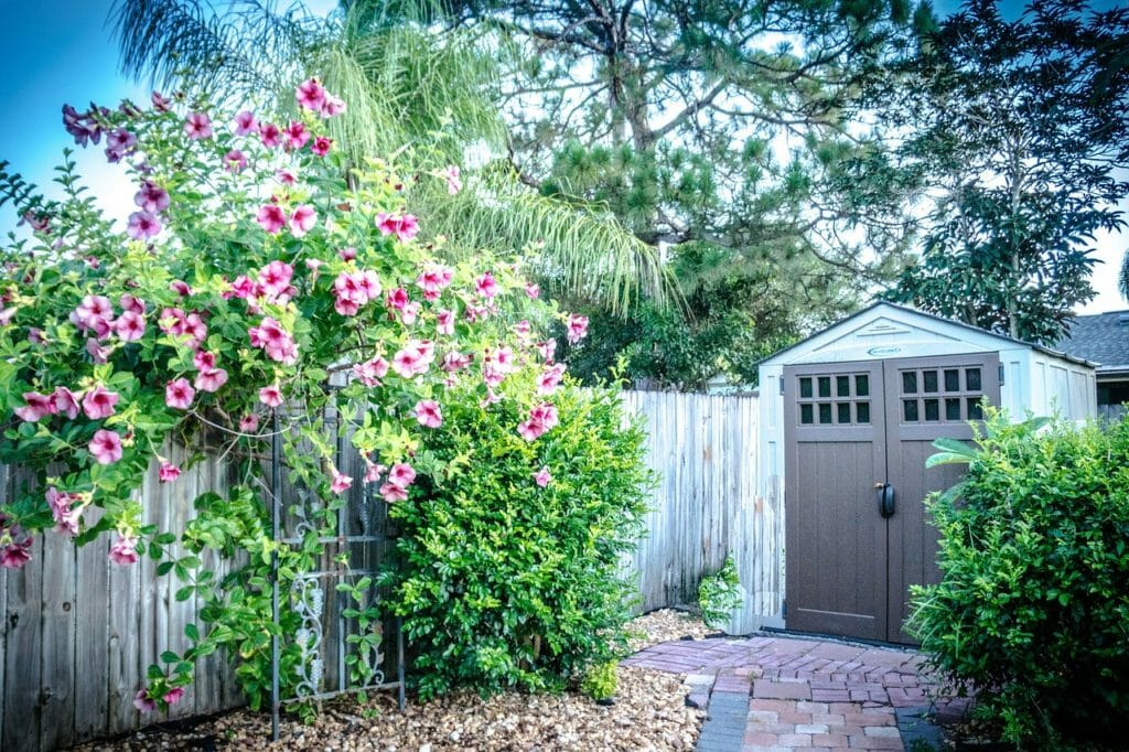 shed, yard, flowers