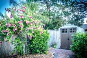 shed, yard, flowers