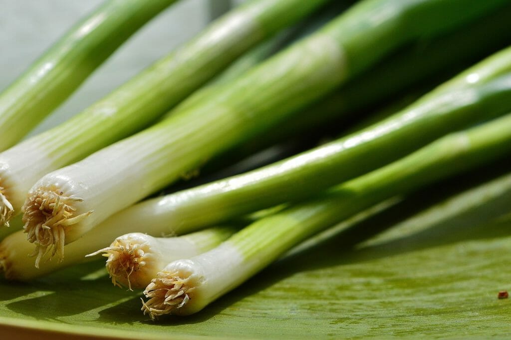 spring onions, leek, delicious