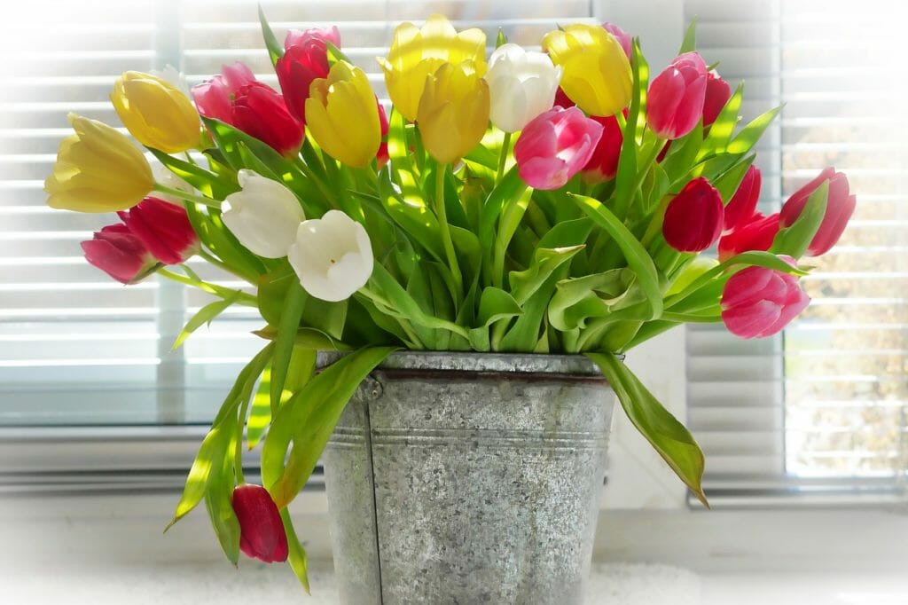 vase, flower, bouquet