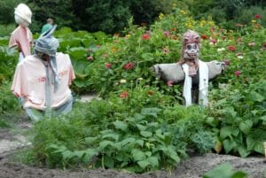 Vogelscheuche selber machen