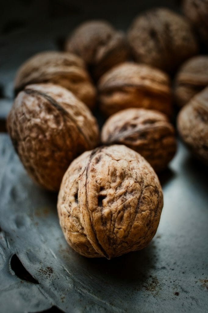 walnut, shell, nuts