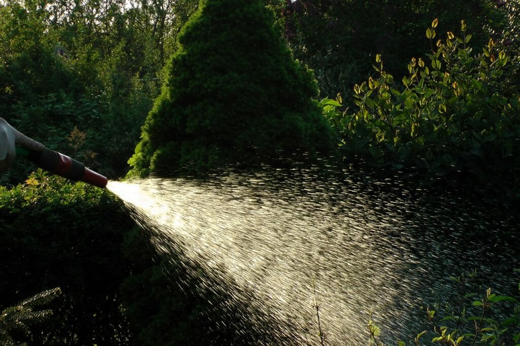 water, allotment, water jet