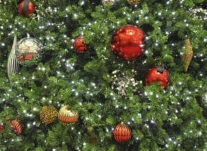 Haltbarkeit des Weihnachtsbaumes