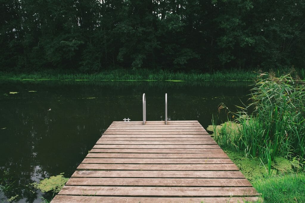 wooden pier, pond, nature